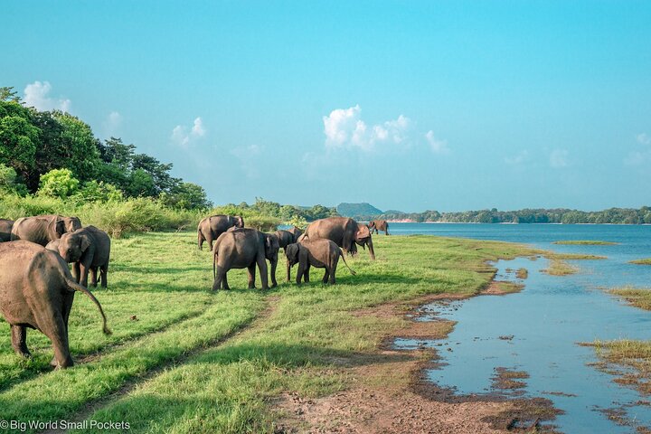 Safari World Tours' Wonders