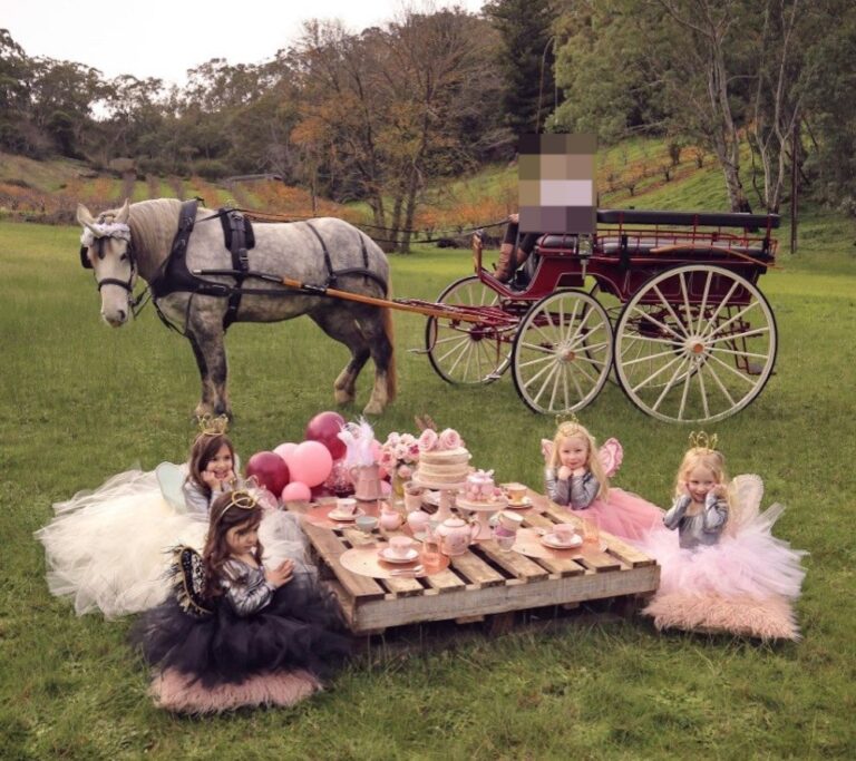 WonderDays: Afternoon Tea Picnic Hamper in a Horse-Drawn Carriage Ride