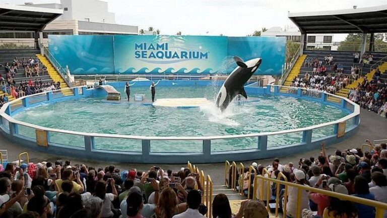 Miami Seaquarium