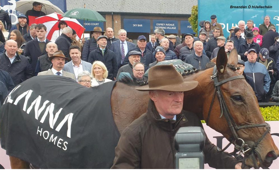 willie mullins net worth