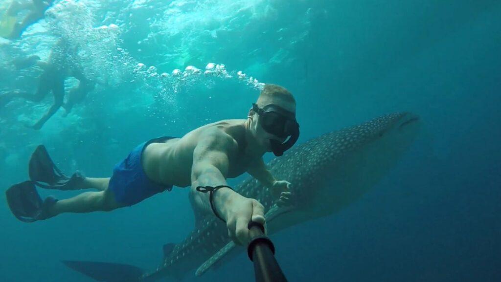 Swim with Whale Sharks