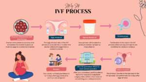 How IVF